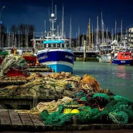 Charmant Studio BELLE VUE MER en Normandie Courseulles-sur-Mer Extérieur photo